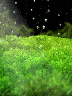 animaciya 240 320 Ocean 2221.gif